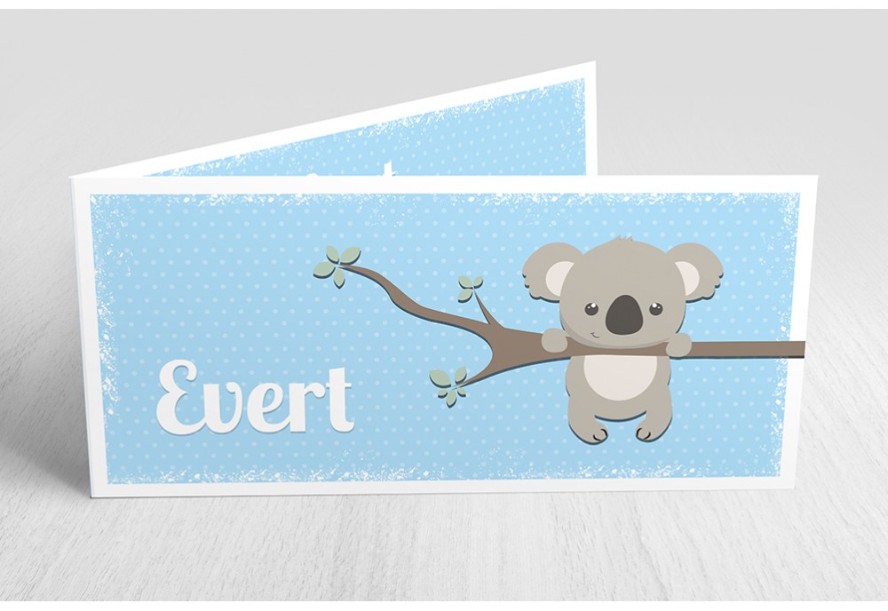 Lieve koalabeer
